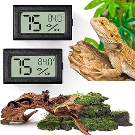 81eMXrkmaFL._AC_UL320_.jpg